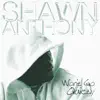 Shawn Anthony - Won't Go Quietly